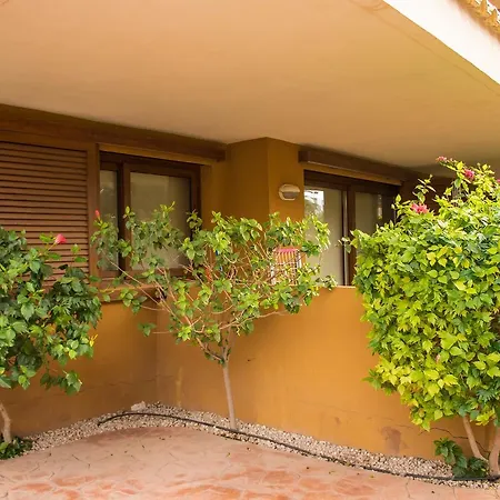 Globus La Entrada Garden Torrevieja